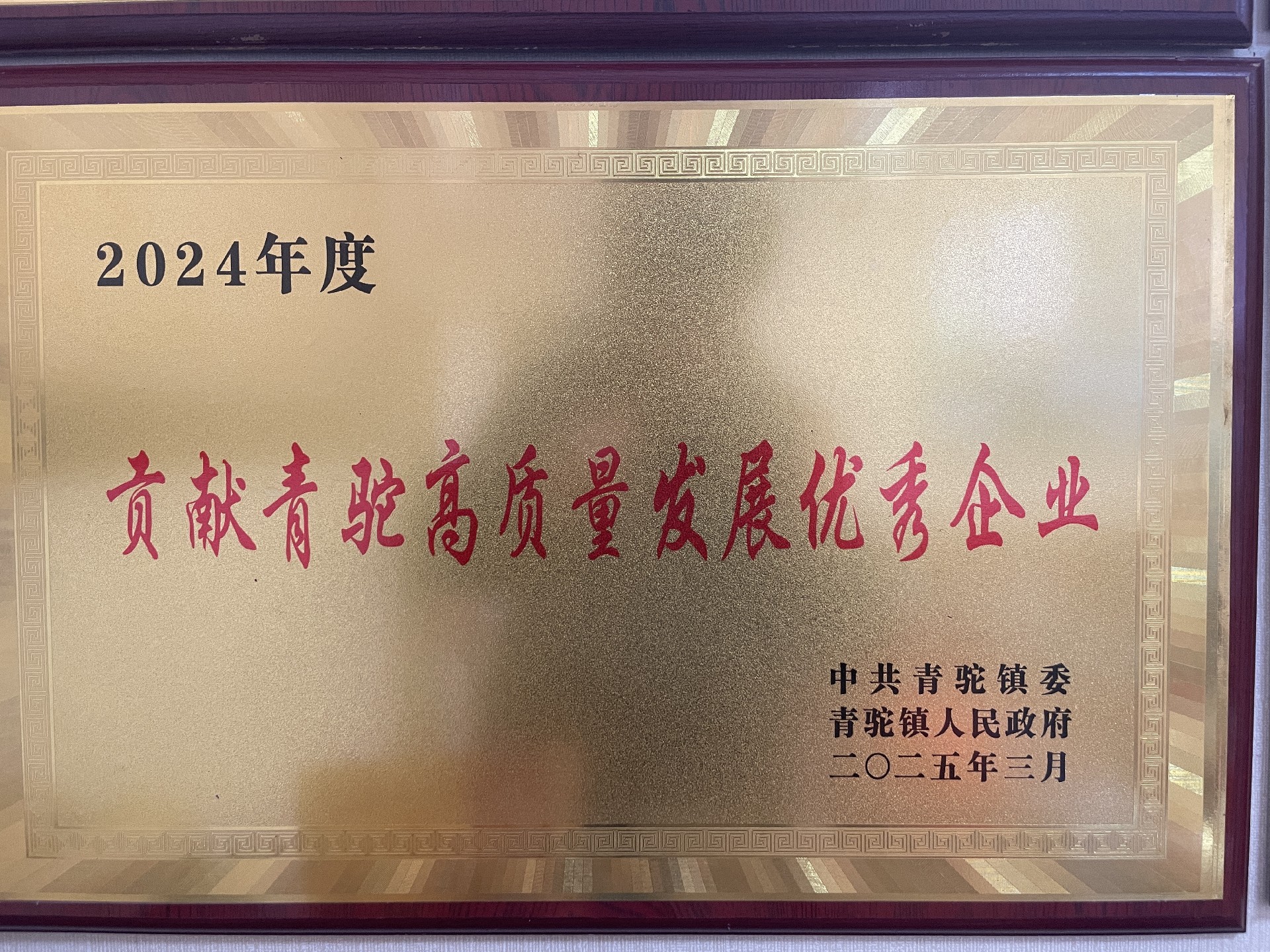 2024年貢獻青駝高質量發(fā)展優(yōu)秀企業(yè).jpg