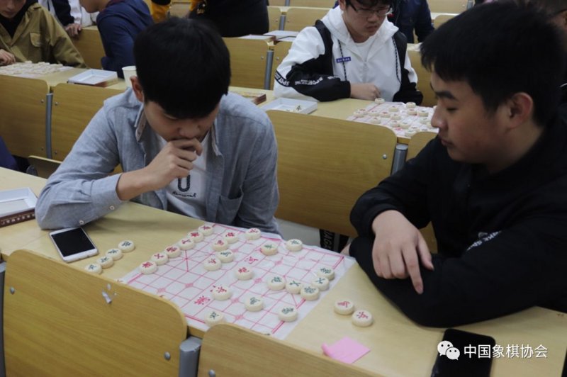 平度围棋的魅力：从历史到现代