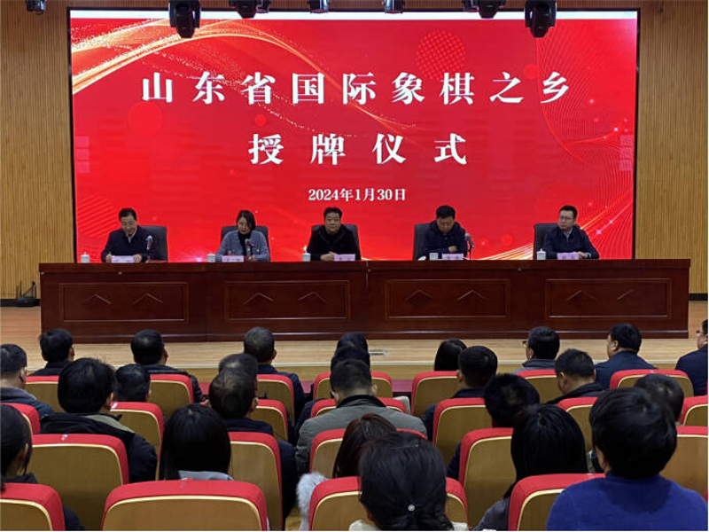 纵横交错：棋类比赛的精彩纷呈